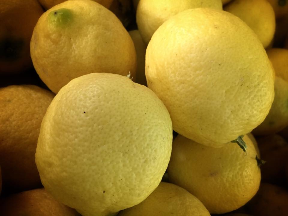 I limoni bianchetti biologici hanno il profumo del sole