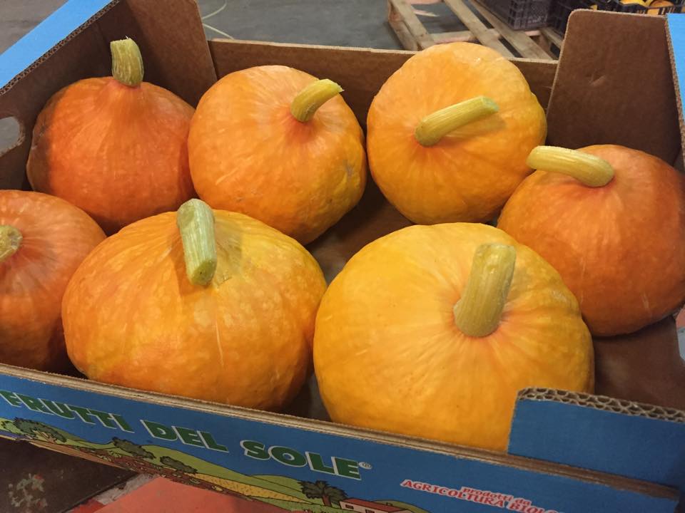 Le zucche biologiche Hokkaido e Butternut sono pronte  (e uniche)!