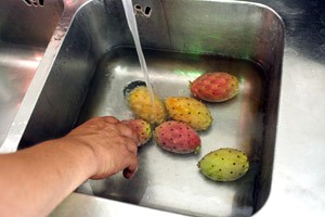 Come si sbuccia un fico d'India?