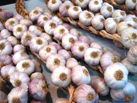 Ecco l'aglio biologico trapanese, coltivato e intrecciato come da tradizione