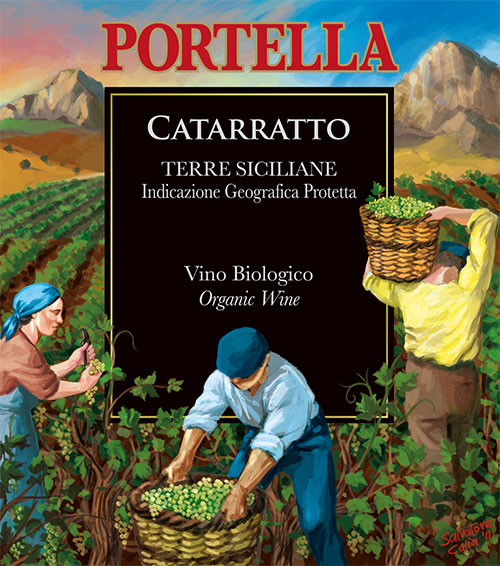 Il Catarratto 2013 è il nuovo vino biologico Portella!