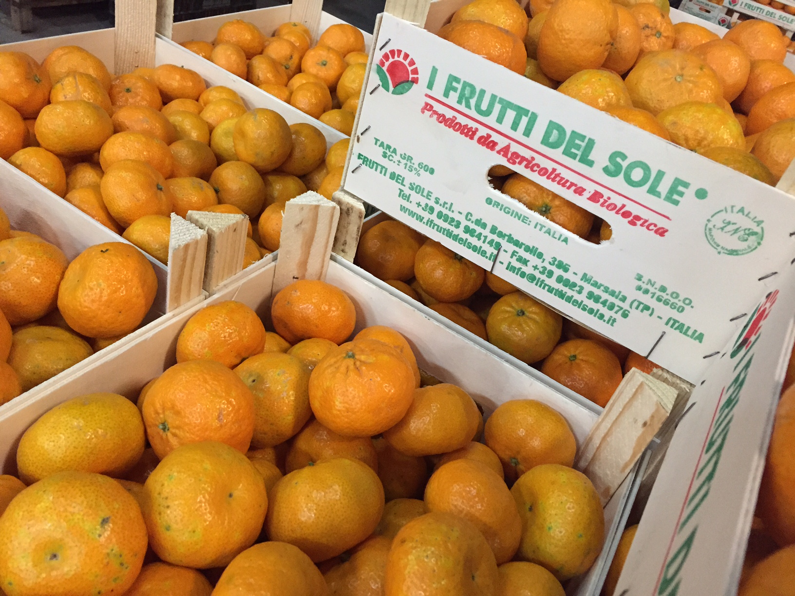 Il mandarino tardivo di Ciaculli, una specialità I Frutti del Sole