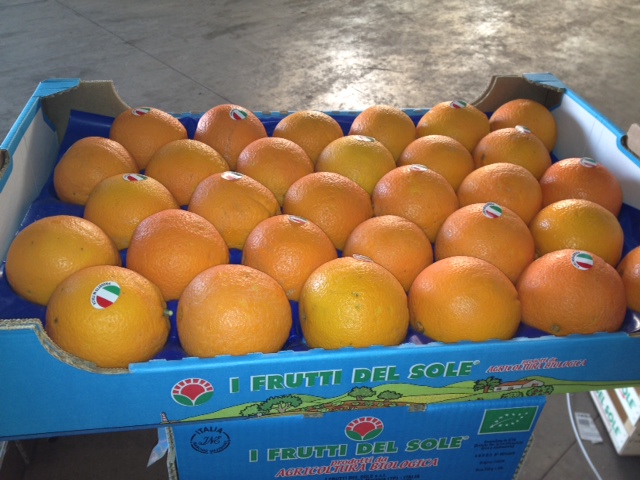 Le arance biologiche Lane Late, la qualità tutta siciliana!