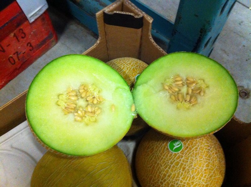 Galia, giallo e cantalupo: inizia la stagione dei meloni biologici I Frutti del Sole