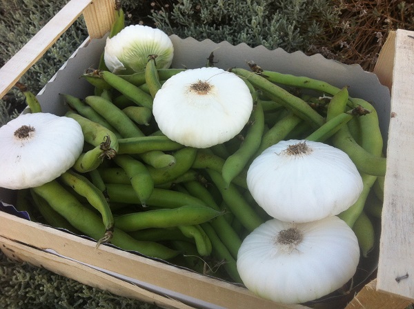 La primavera biologica siciliana porta i sapori de I Frutti del Sole