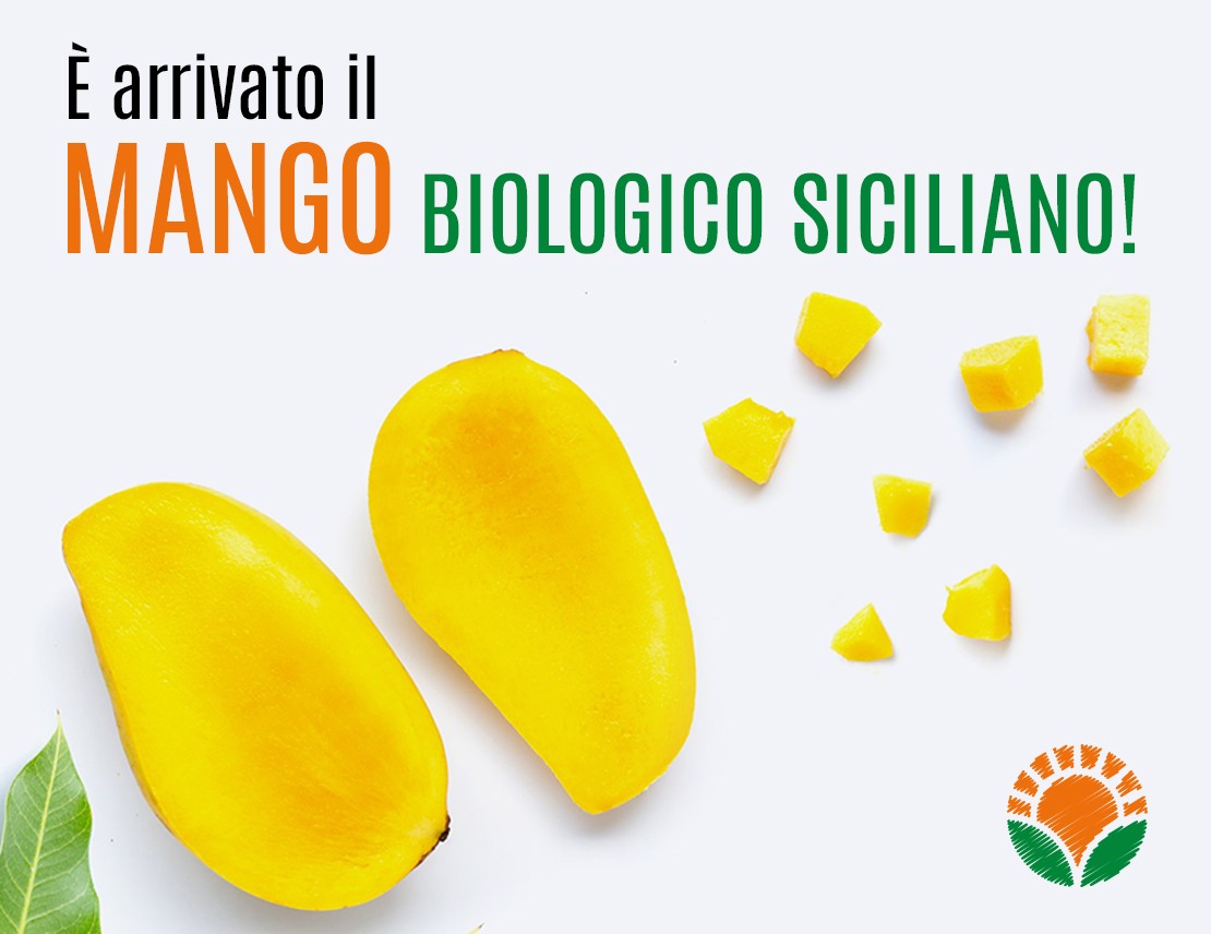 È Arrivato Il Mango Bio Siciliano!