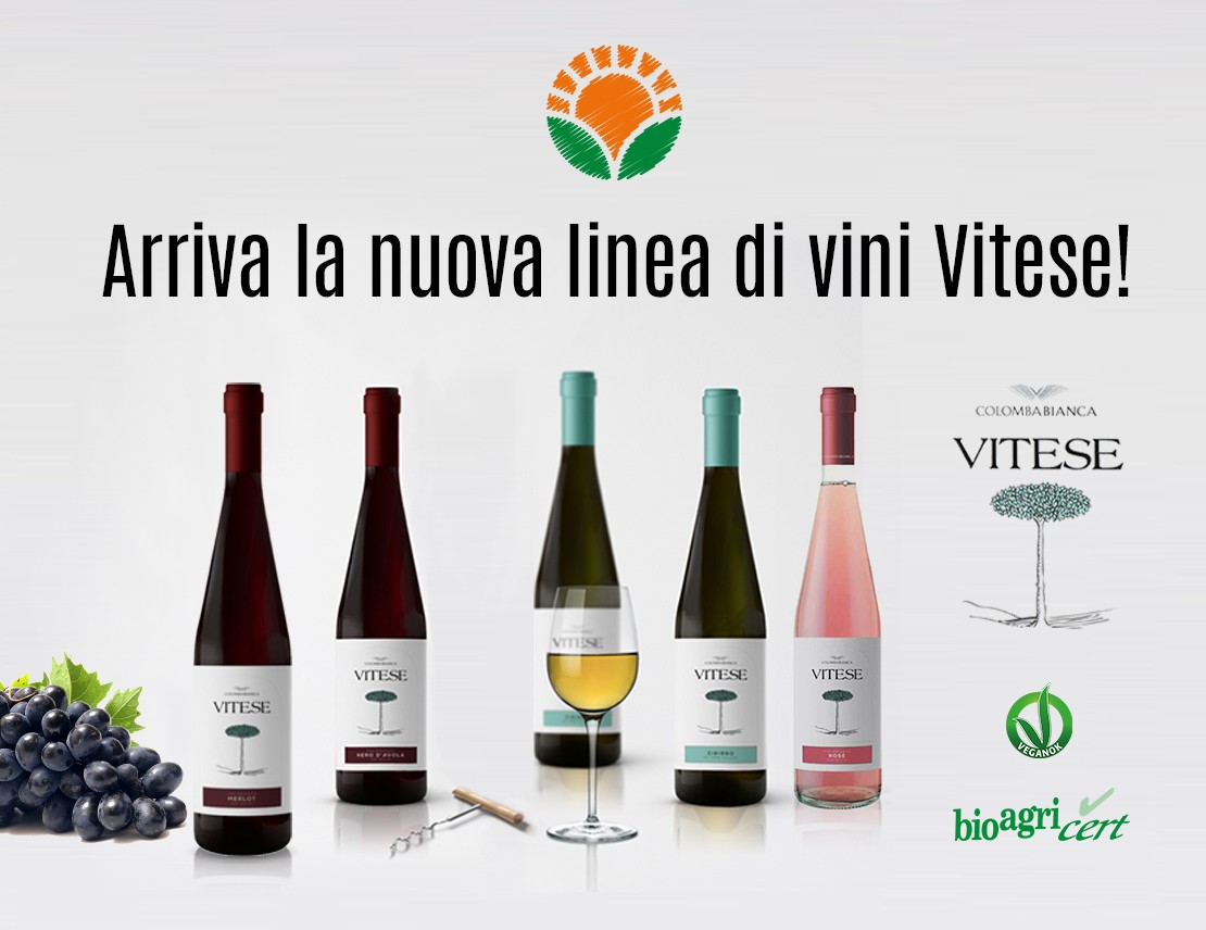 Novità: Vini Bio E Vegan Delle Cantine Colomba Bianca!