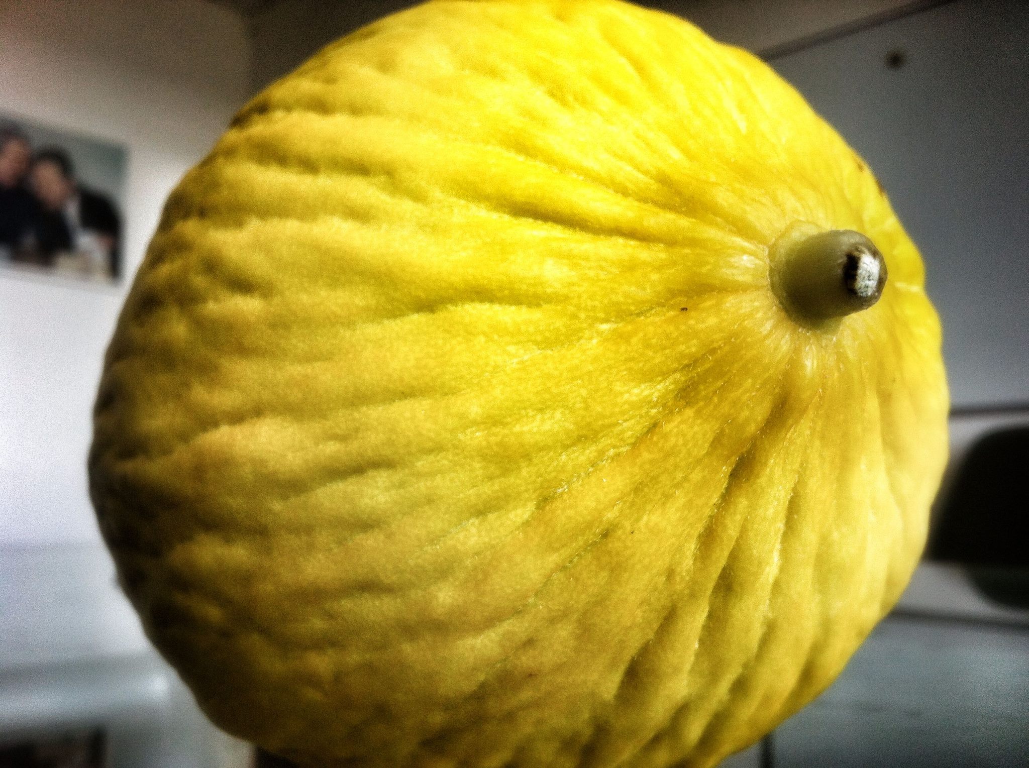 Il melone giallo biologico è la vocazione della provincia di Trapani