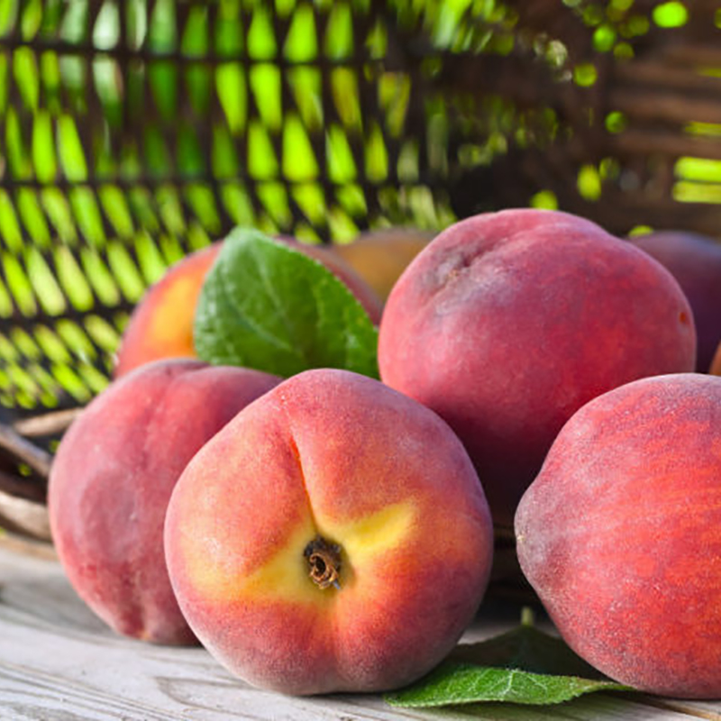 Le pesche tardive bio de I Frutti del Sole: bontà siciliana!