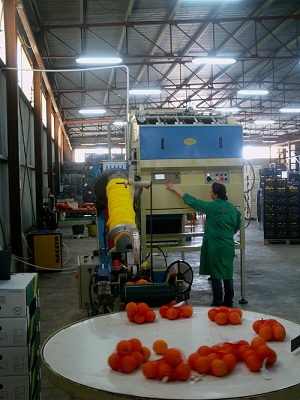 Nuova linea di lavorazione in casa I FRUTTI DEL SOLE