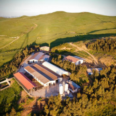 Azienda Agricola Biologica Guarino
