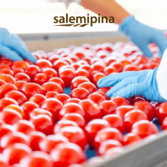 Salemipina