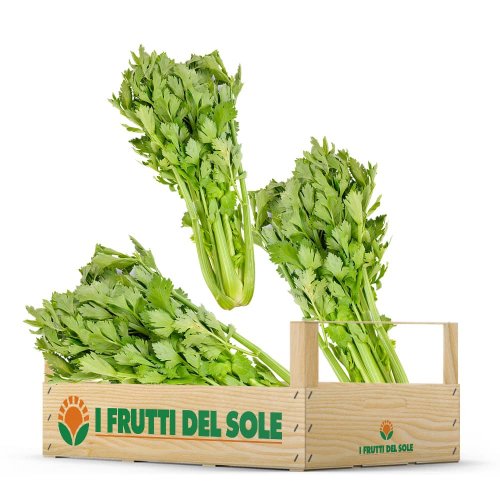 Cassetta di Sedano Verde BIO