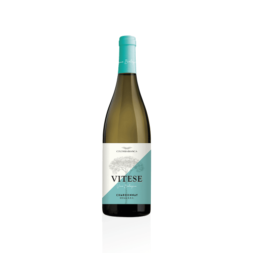 Chardonnay "DOC Sicilia" Vitese BIO