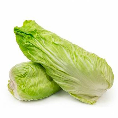 Cicoria Pan di Zucchero BIO