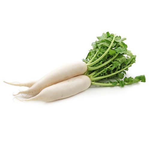 Daikon Siciliano BIO