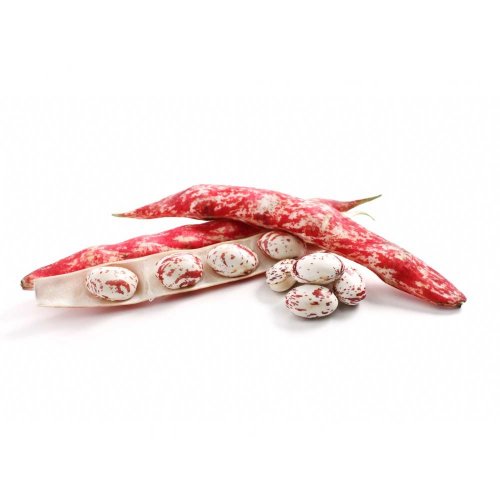 Fagioli Borlotti Freschi BIO
