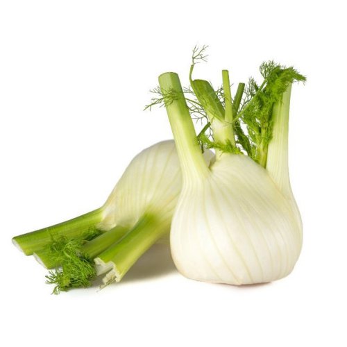 Finocchi BIO