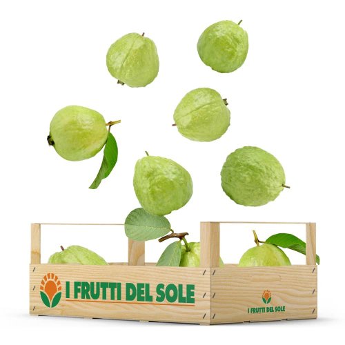 Cassetta di Guava Siciliana Fresca BIO