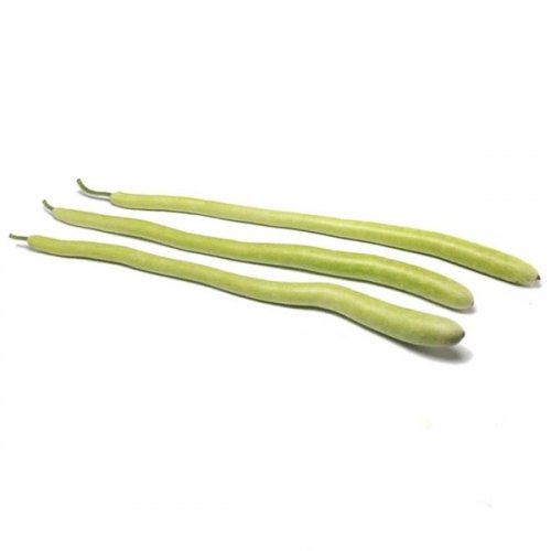Zucchina Lagenaria BIO