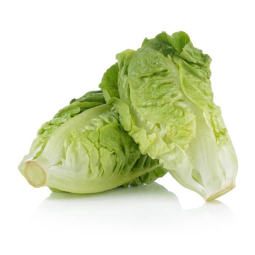 Lattuga Romana BIO