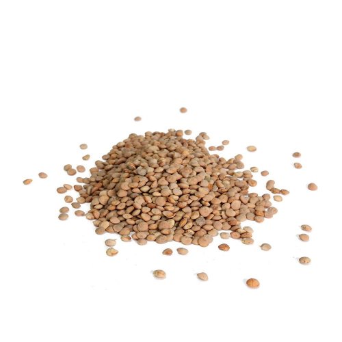 Lenticchie Grandi Verdi BIO 5 Kg