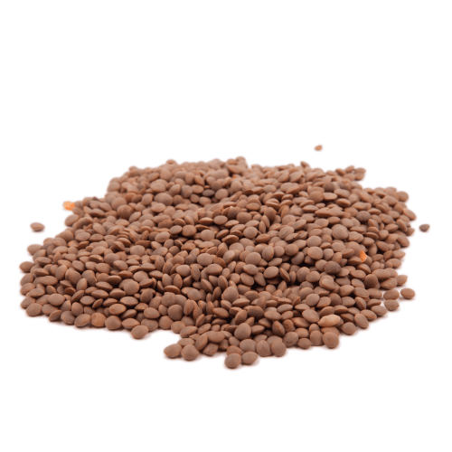 Lenticchie Piccole Rosse BIO 5 Kg