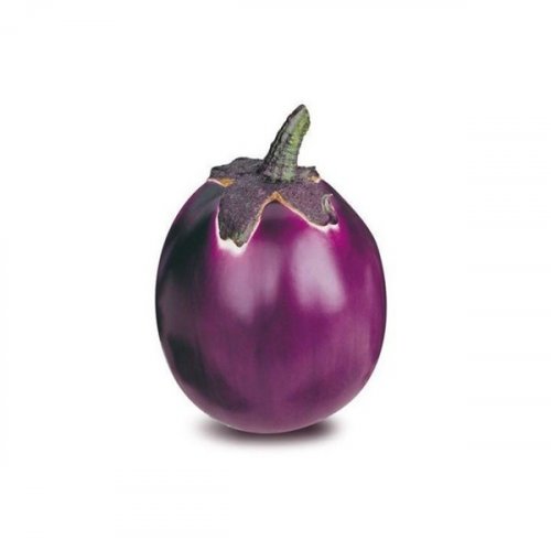 Melanzane Violette BIO