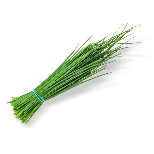 Erba Cipollina Fresca BIO