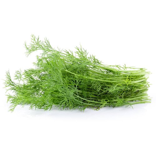 Finocchietto Fresco BIO