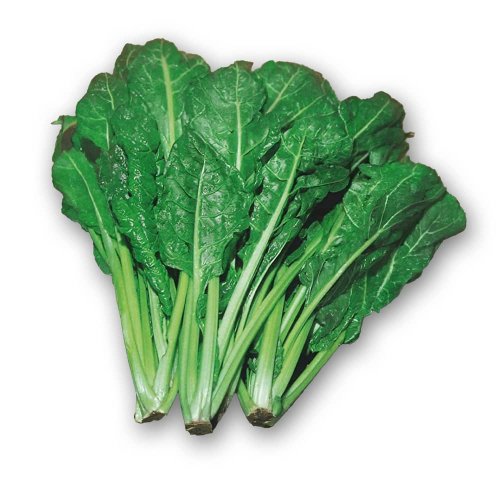 Bietola Costa Verde BIO