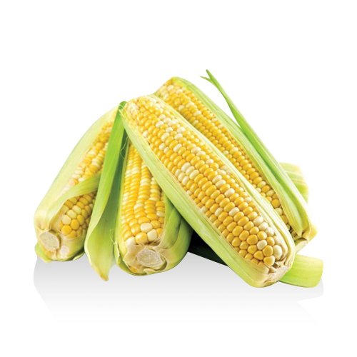 Pannocchia di Mais BIO