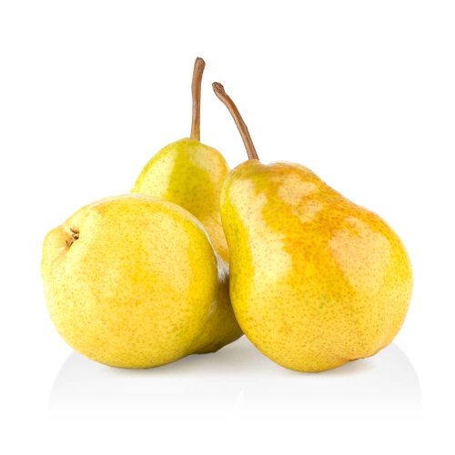 Pere Gentile BIO