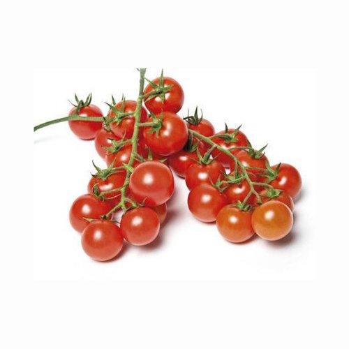 Pomodori Ciliegino Terre Saline BIO