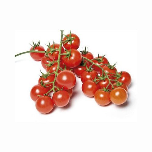 Pomodori Ciliegino Terre di Salina BIO