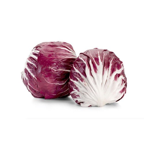 Radicchio Tondo Rosso BIO