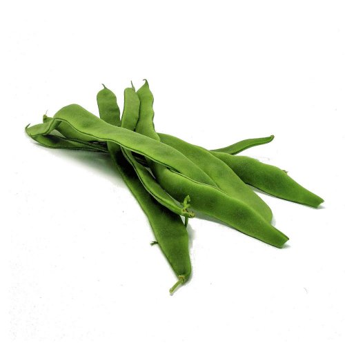 Taccole BIO