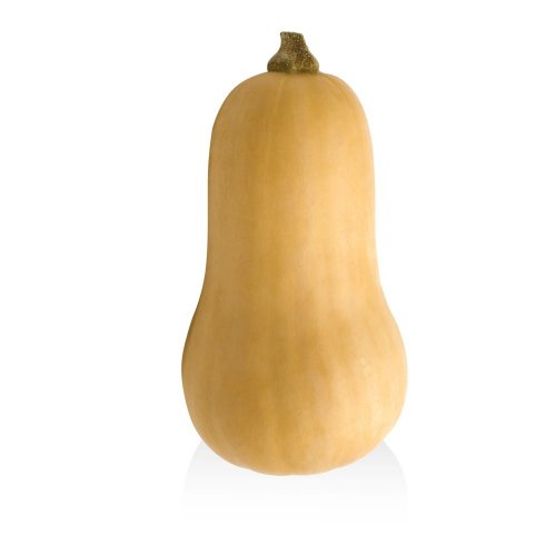 Zucca Butternut BIO